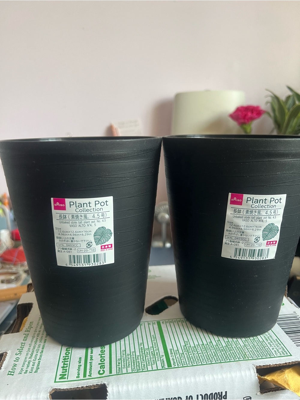 Black Plastic Planter - 2 Pack